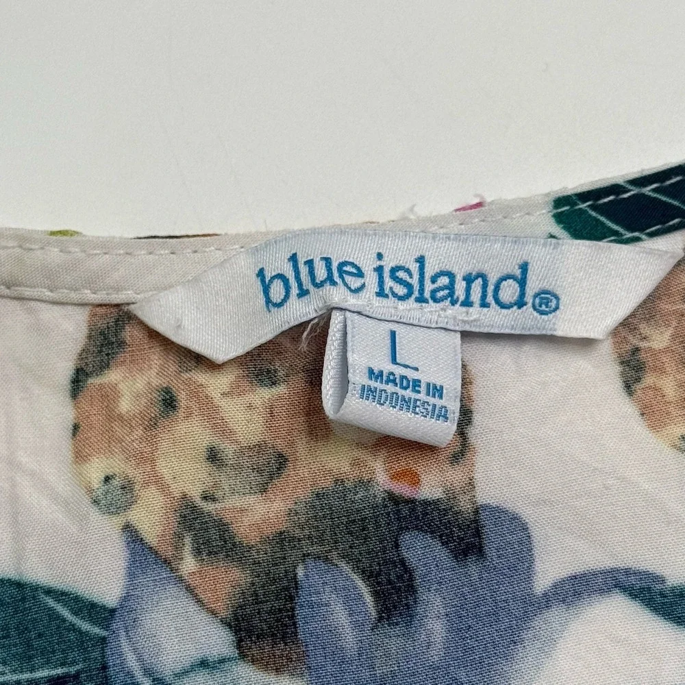 Blue Island Beach blue island